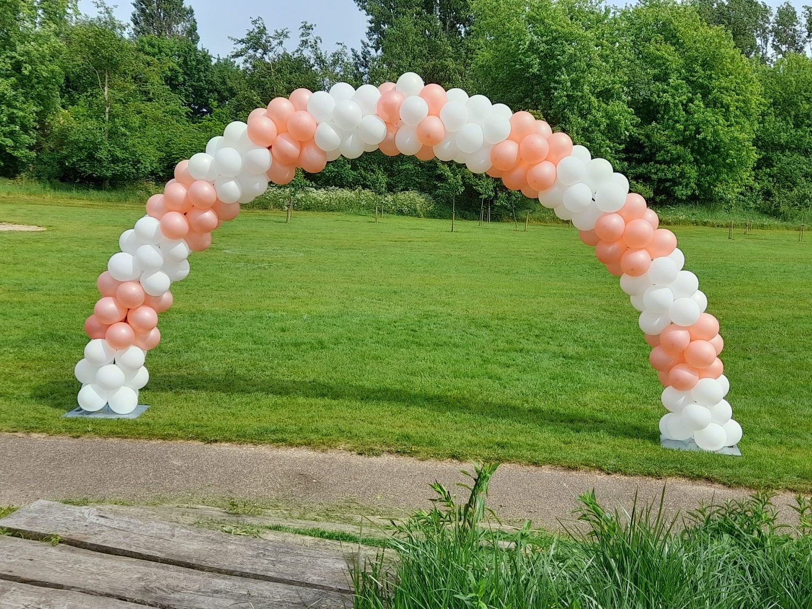 Colorful Balloon Set