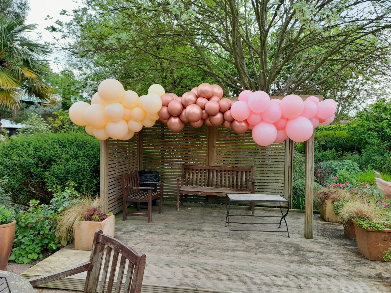 Colorful Balloon Set